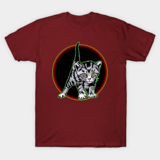 show me your kitties T-Shirt